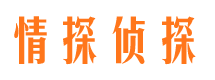 黄平出轨调查